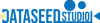 DS Studio Logo