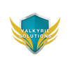 Valkyrie Solutions, Inc. Logo