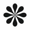 Pollen Labs Logo