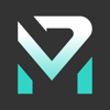 Visionary Merger Logo