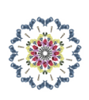 Grapevine Logo