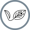 Vegrix Logo