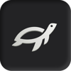 Turtles Web Logo