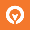 Observiz Logo
