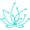 Radisoft Logo