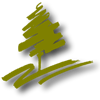 Eliciting Excellence Logo