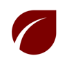 Bluestream Logo
