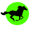 SToFU Systems Logo