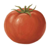 Accounting Ketchup Logo
