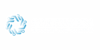 Consultwise LLC (Software4.net) Logo