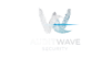audit web security Logo