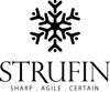 StruFin Logo