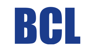 Baer Consulting Logo