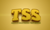 Tech Sol Studio Logo