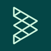 Kiwimesh Technologies Logo