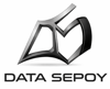 Data Sepoy Logo