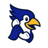 CallBird Logo