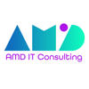 AMD IT CONSULTING LTD Logo