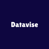 DataVise Consulting Logo