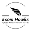 Ecom Hawks Logo