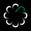 Pella Dynamics Logo