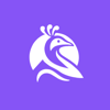 Paun Technology Logo