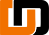 Digital Diviners IT Solutions Logo
