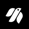 Techjays Logo