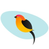Pipra Solutions Logo