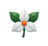 Trilly Co. Logo