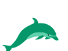 Green Dolphin Software Logo