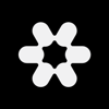 Heli Studio Logo