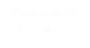 Wedding photography in Calicut -Enhance Films Logo