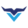 Veemi Accounting Solutions Logo
