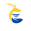 Wiriser Rise Together Logo
