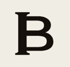 Brinvik Logo