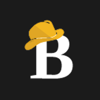 Barquecon Technologies Logo