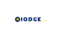 Niodge Group Logo