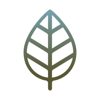 The AD Leaf Marketing Firm Studio Orlando Logo