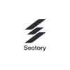 SEOTORY Logo