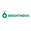 Brightnous IT Services Pvt. Ltd. Logo