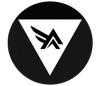 Victory Velocity Logo