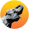 Radiant Elephant Logo