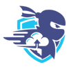 PAIDNINJAS SOFTWARE & IT SOLUTIONS Logo