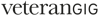 VeterangigAB Logo