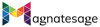 Magnatesage Technologies Logo