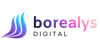 Borealys LLC Logo