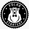 Polar Strategy Inc Logo