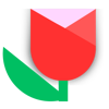 Bluum Digital Logo