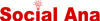 SocialAna: Precision Social Media Marketing Logo